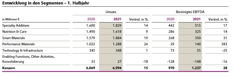 Entwicklung in den Segmenten - 1. Halbjahr